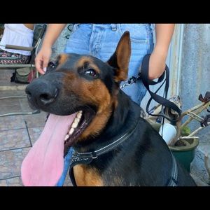 Meet your Posher, Denise